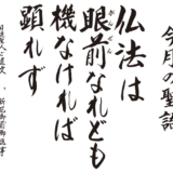 令和7年7月 海徳寺 寺報